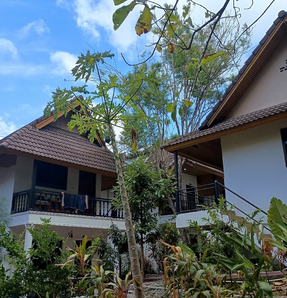 Real garden bungalows and tropical foliage at Oceanview Bungalows
